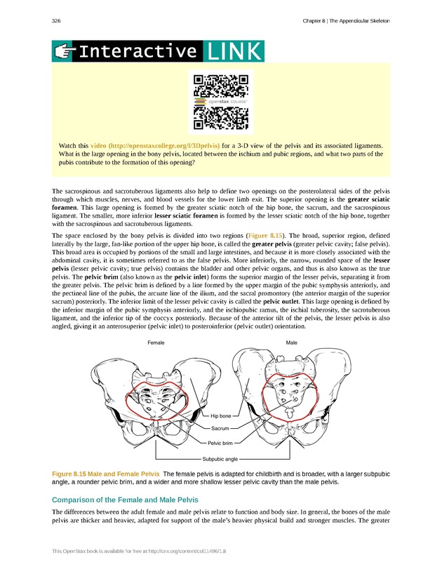 Anatomy & Physiology - 