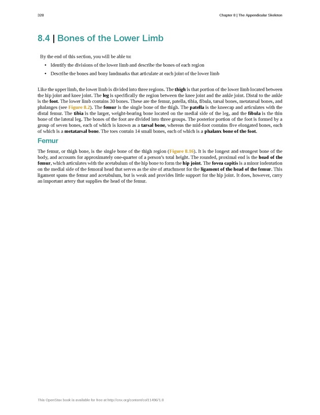 Anatomy & Physiology - 