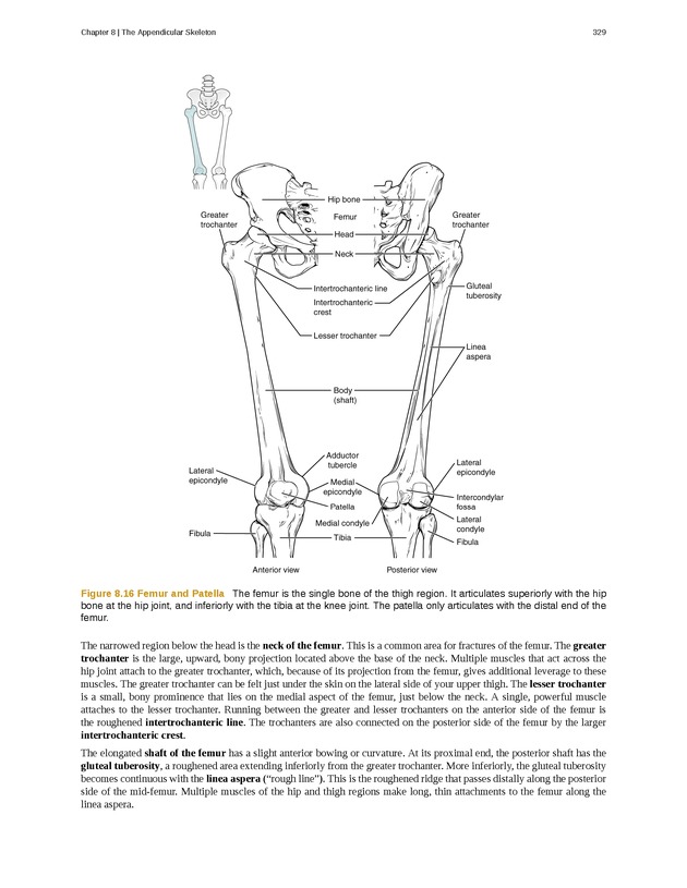 Anatomy & Physiology - 