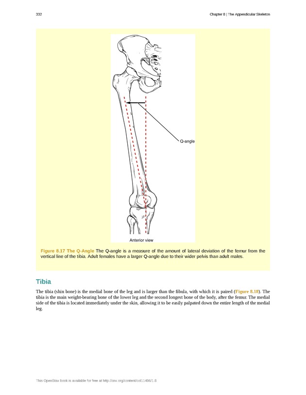 Anatomy & Physiology - 
