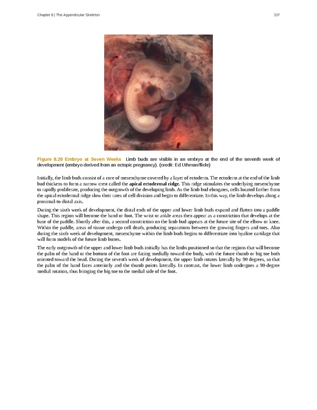 Anatomy & Physiology - 