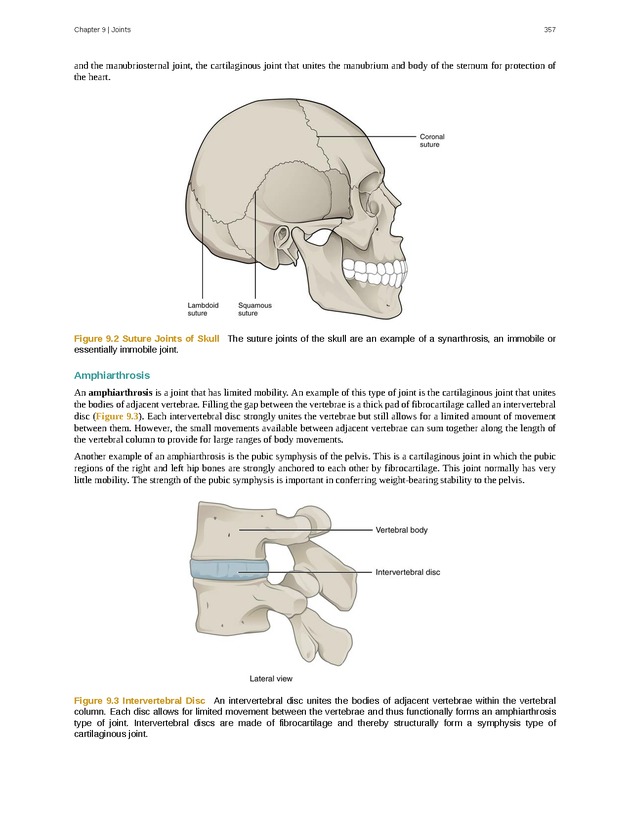 Anatomy & Physiology - 