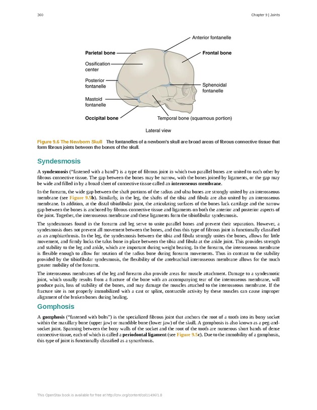 Anatomy & Physiology - 