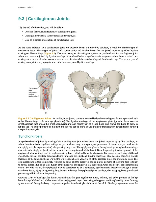 Anatomy & Physiology - 