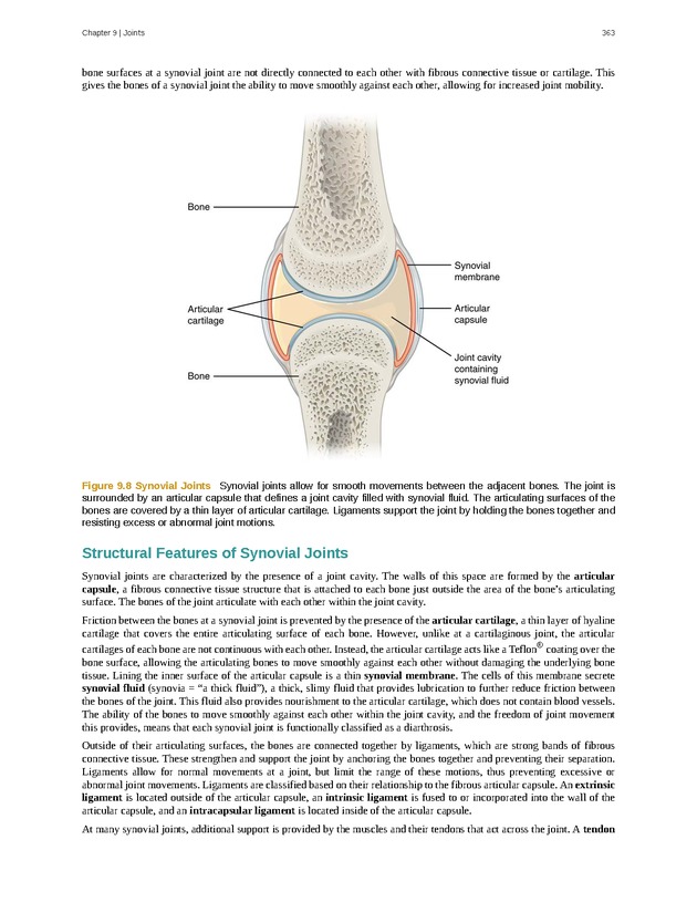 Anatomy & Physiology - 