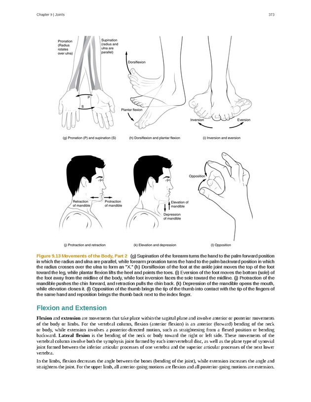 Anatomy & Physiology - 