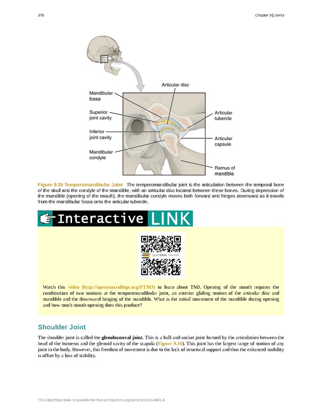 Anatomy & Physiology - 
