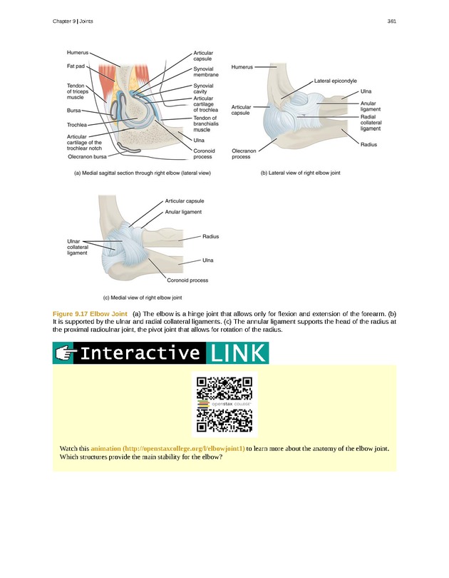 Anatomy & Physiology - 