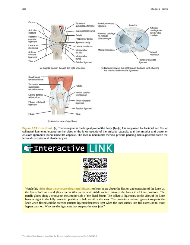 Anatomy & Physiology - 