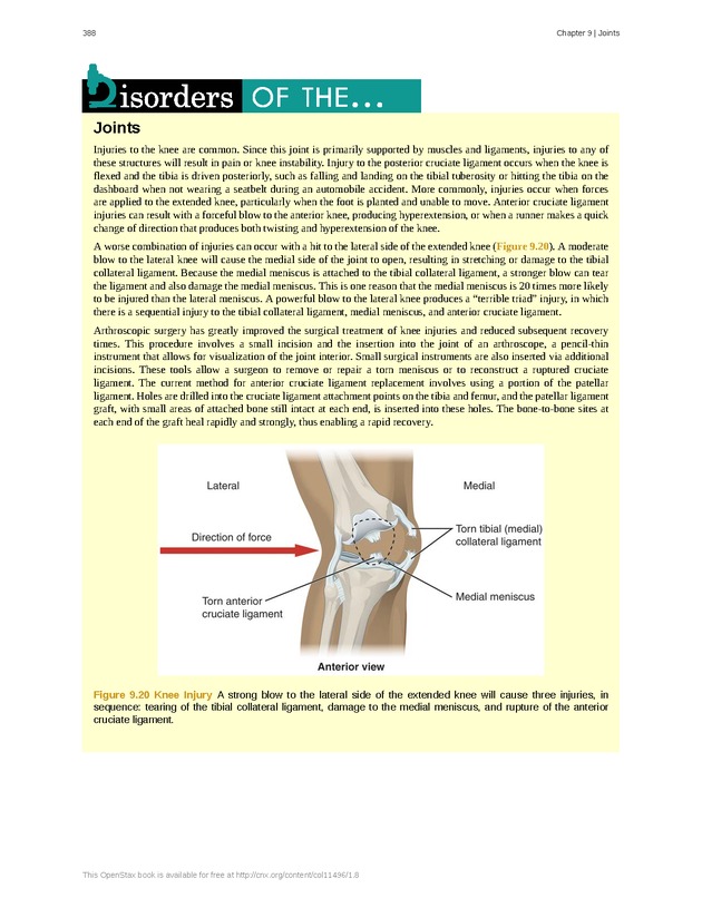 Anatomy & Physiology - 