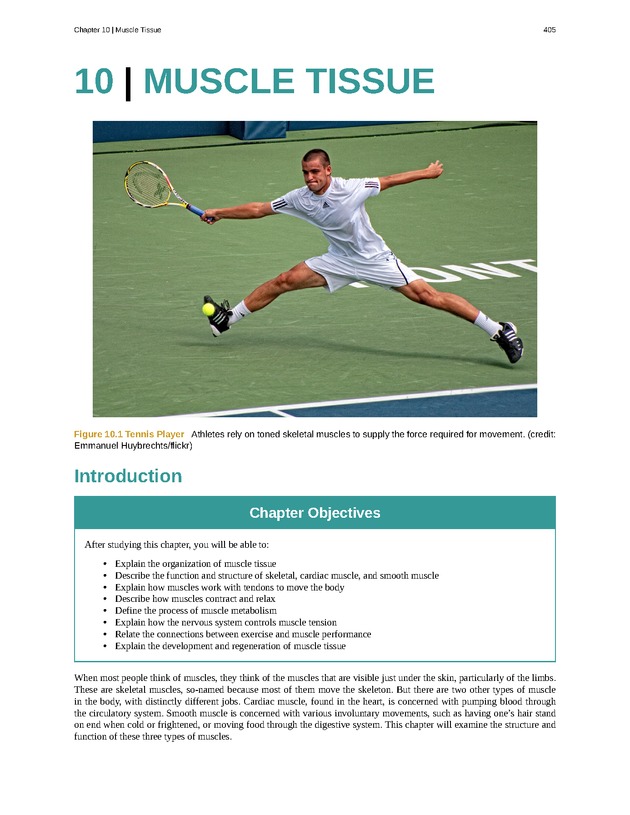 Anatomy & Physiology - 