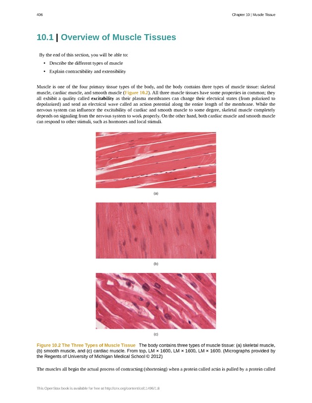 Anatomy & Physiology - 