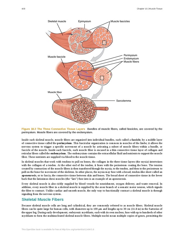 Anatomy & Physiology - 