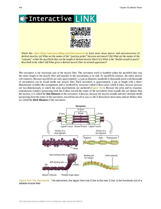Anatomy & Physiology - 
