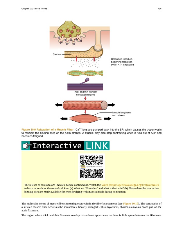 Anatomy & Physiology - 