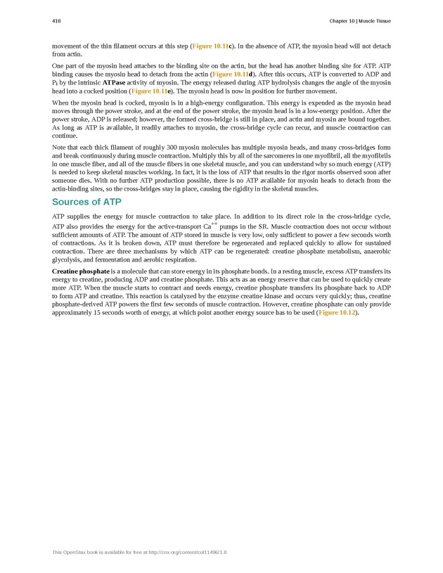 Anatomy & Physiology - 