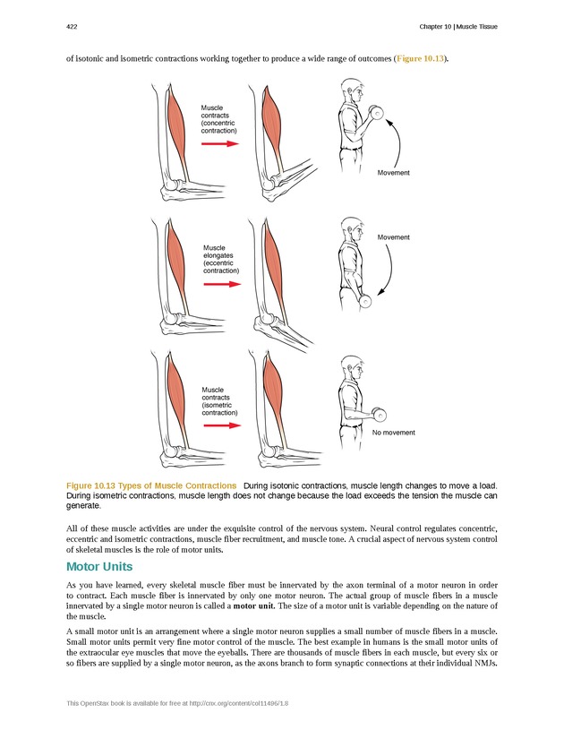 Anatomy & Physiology - 