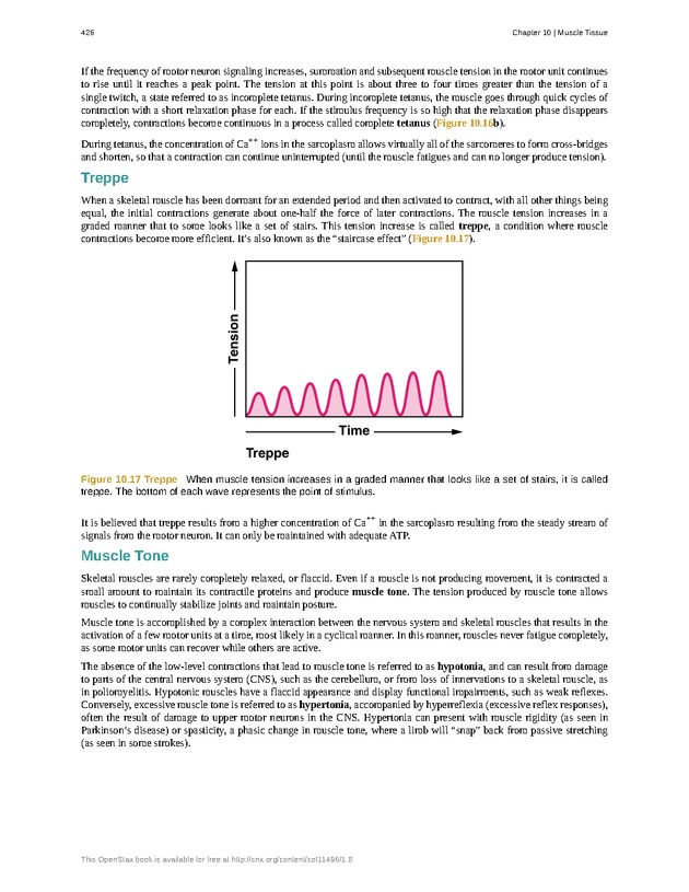 Anatomy & Physiology - 