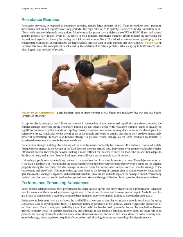 Anatomy & Physiology - 