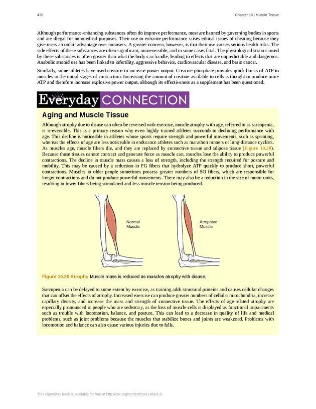 Anatomy & Physiology - 