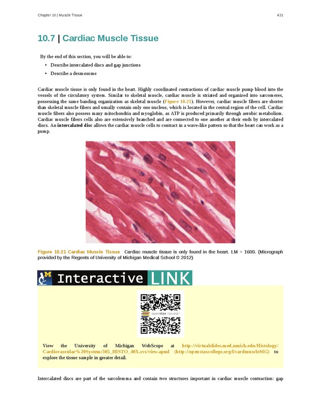 Anatomy & Physiology - 