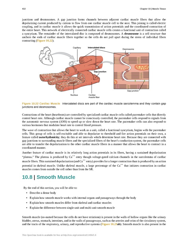 Anatomy & Physiology - 