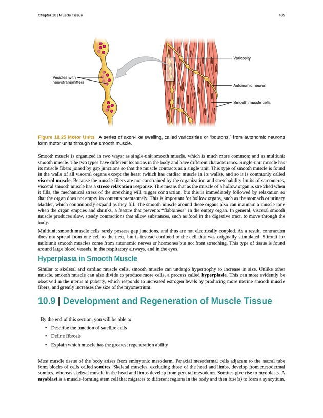 Anatomy & Physiology - 