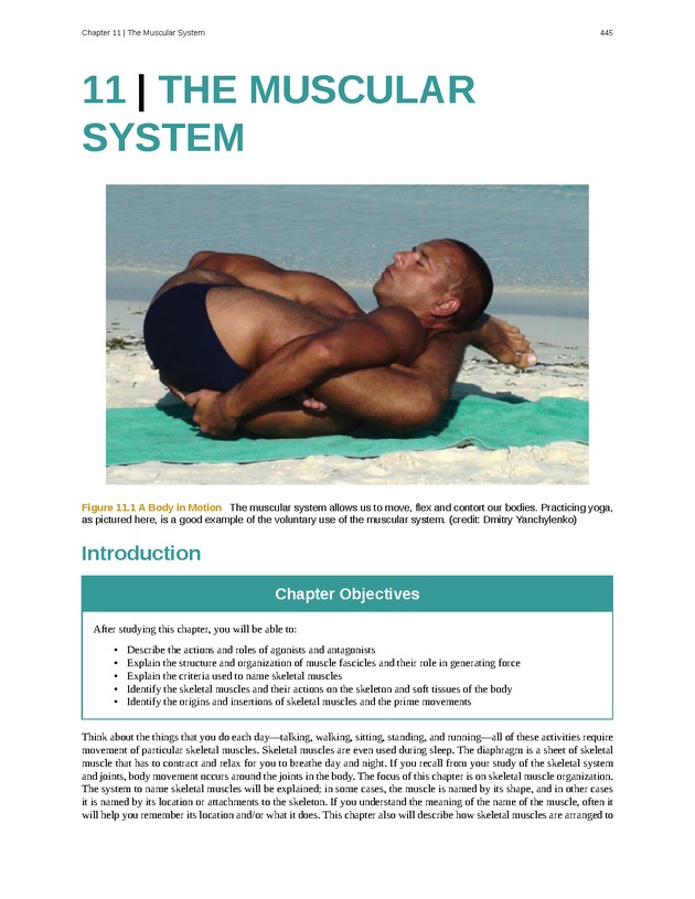 Anatomy & Physiology - 