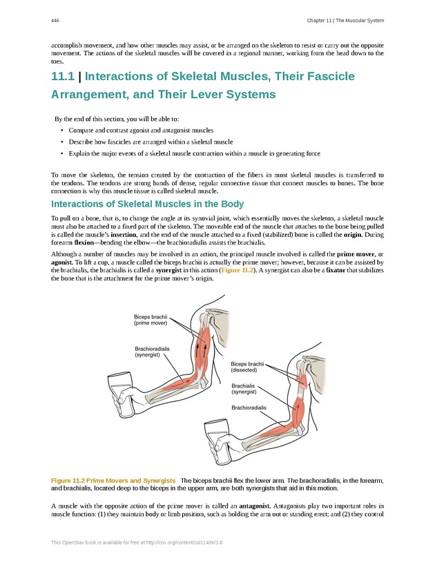 Anatomy & Physiology - 