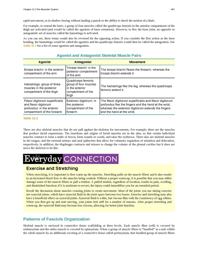 Anatomy & Physiology - 