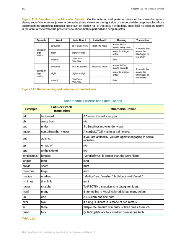 Anatomy & Physiology - 