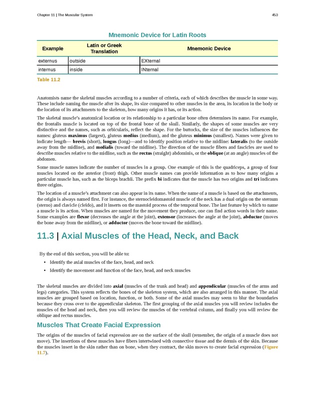 Anatomy & Physiology - 