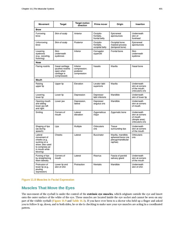 Anatomy & Physiology - 
