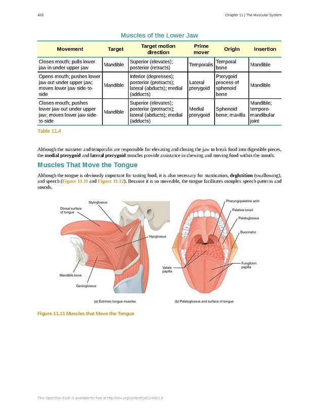 Anatomy & Physiology - 