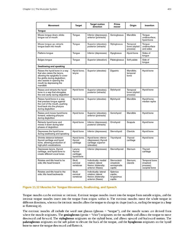 Anatomy & Physiology - 