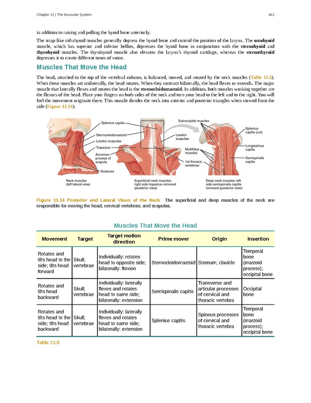Anatomy & Physiology - 