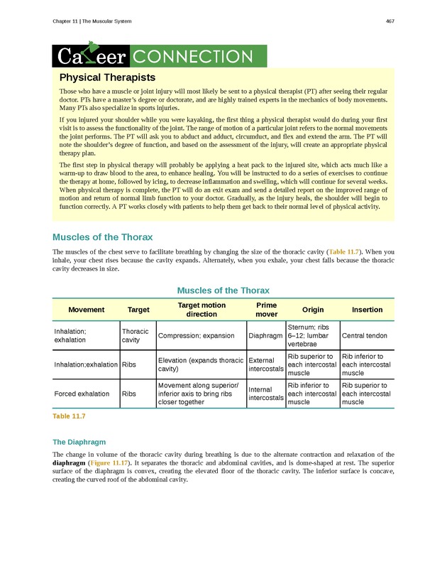 Anatomy & Physiology - 