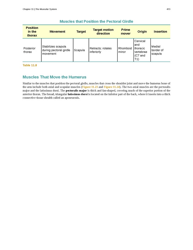 Anatomy & Physiology - 