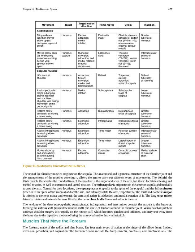 Anatomy & Physiology - 