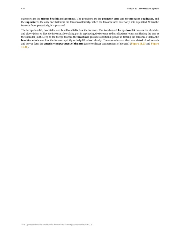 Anatomy & Physiology - 
