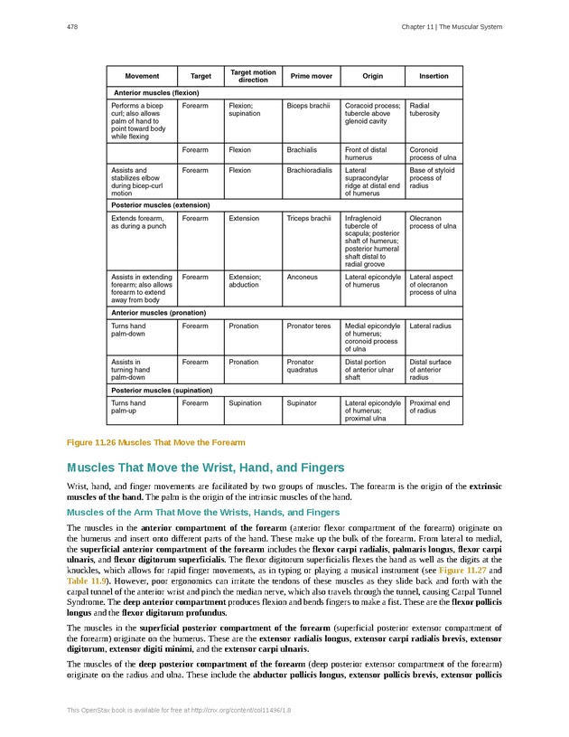 Anatomy & Physiology - 