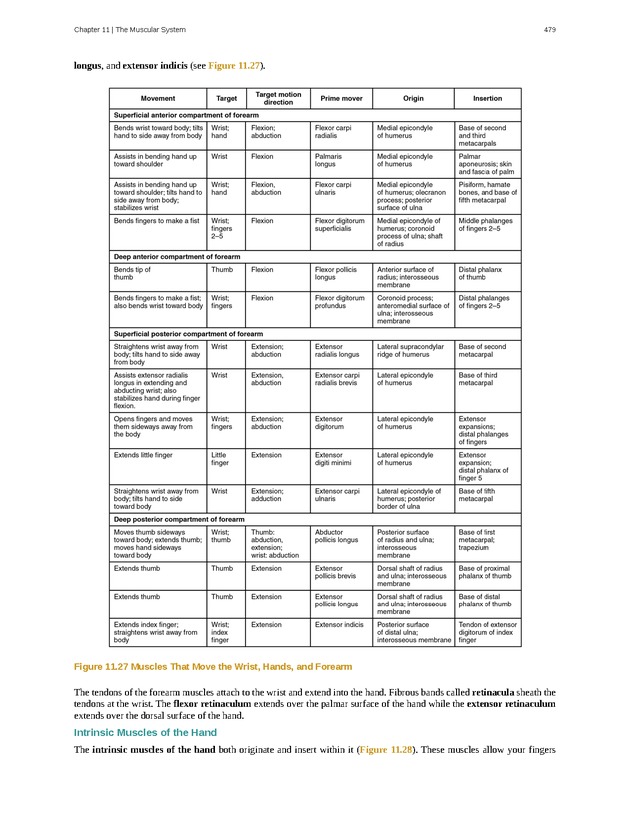 Anatomy & Physiology - 