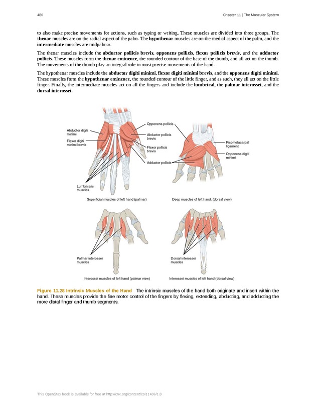 Anatomy & Physiology - 