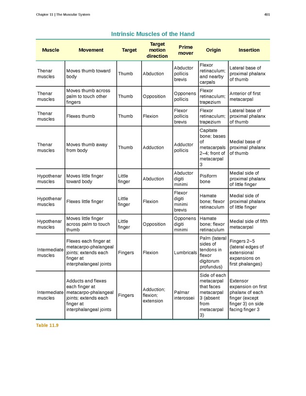Anatomy & Physiology - 