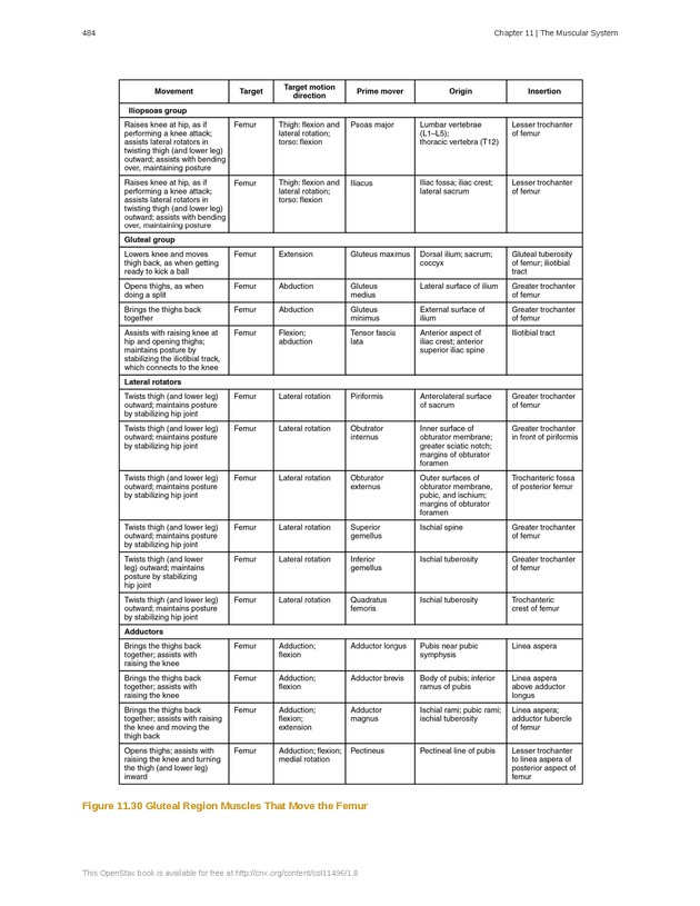 Anatomy & Physiology - 