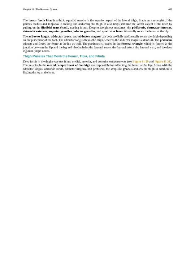 Anatomy & Physiology - 