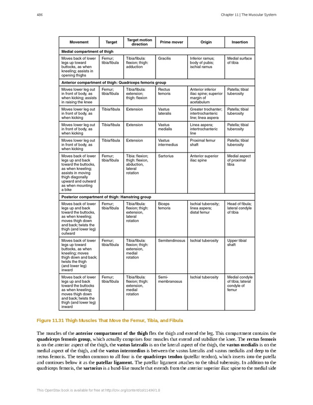 Anatomy & Physiology - 