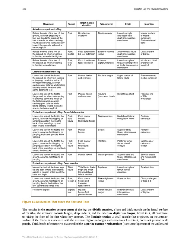 Anatomy & Physiology - 