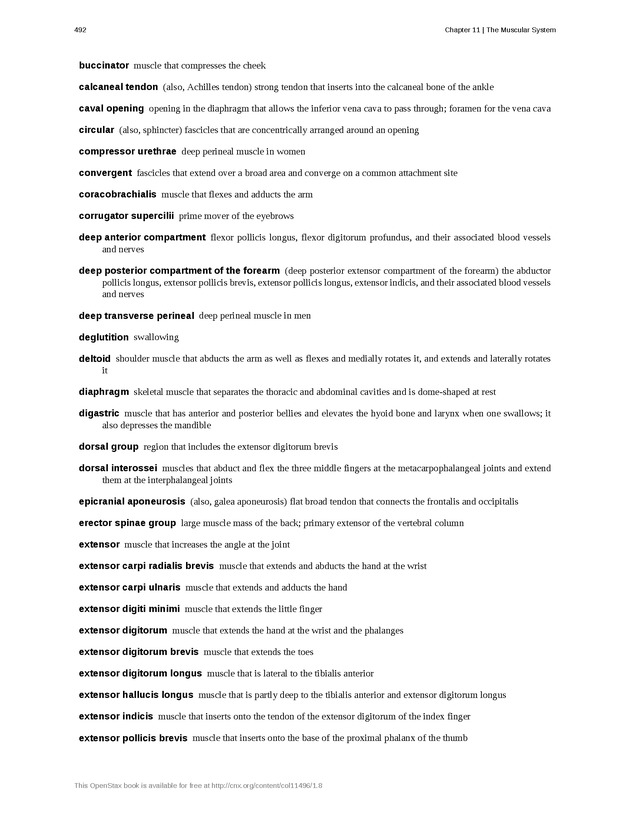 Anatomy & Physiology - 