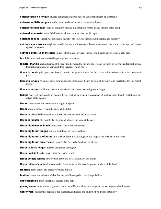 Anatomy & Physiology - 
